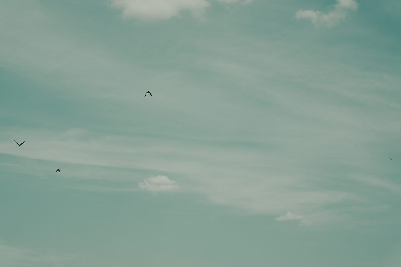 Photograph, September 2024
