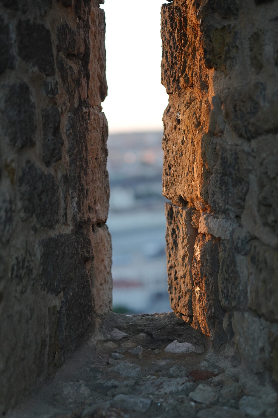 Photograph, January 2026